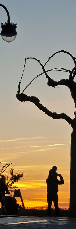 Puesta de sol en los paseos de la Mota en Benavente